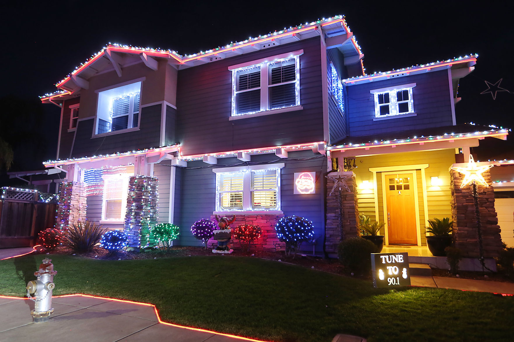 Paradise Drive Lights
